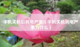 手机关机后耗电严重（手机关机耗电严重为什么）