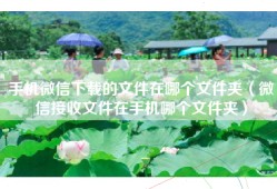 手机微信下载的文件在哪个文件夹（微信接收文件在手机哪个文件夹）