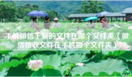 手机微信下载的文件在哪个文件夹（微信接收文件在手机哪个文件夹）