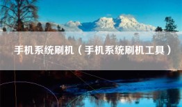 手机系统刷机（手机系统刷机工具）