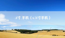 8寸 手机（6.78寸手机）
