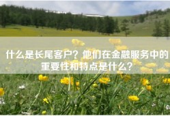 什么是长尾客户？他们在金融服务中的重要性和特点是什么？