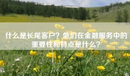 什么是长尾客户？他们在金融服务中的重要性和特点是什么？
