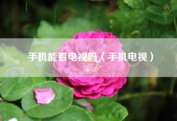 手机能看电视吗（手机电视）