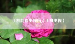 手机能看电视吗（手机电视）