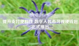 提升支付便利性 数字人民币可视硬钱包正式推出