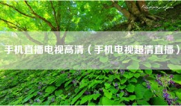 手机直播电视高清（手机电视超清直播）