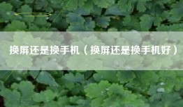 换屏还是换手机（换屏还是换手机好）