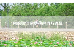 网站如何免费获得百万流量