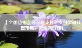【全国热招】碰一碰支付，支付宝砸钱做市场，赶快来分钱！