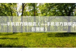vivo手机官方旗舰店（vivo手机官方旗舰店在哪里）