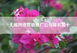 无锡网络营销推广公司排名前十