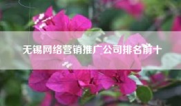 无锡网络营销推广公司排名前十