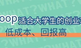 2024年5大必火的创业项目，让你开始致富之路