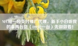 NFC碰一碰支付推广代理，新手小白听我的拿两台货（199元一台）先做做看！
