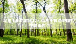 苹果手机隐藏图片（苹果手机隐藏图片在哪里看）