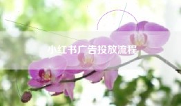 小红书广告投放流程