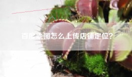 百度地图怎么上传店铺定位？