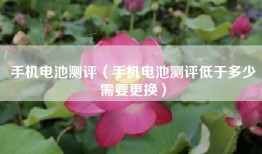 手机电池测评（手机电池测评低于多少需要更换）