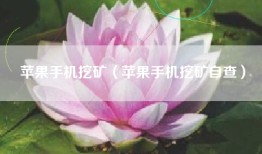 苹果手机挖矿（苹果手机挖矿自查）
