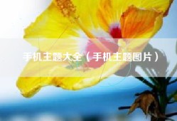 手机主题大全（手机主题图片）