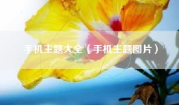 手机主题大全（手机主题图片）