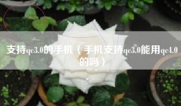 支持qc3.0的手机（手机支持qc3.0能用qc4.0的吗）
