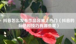 抖音怎么发布作品容易上热门（抖音的玩法和技巧有哪些呢）