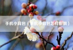手机小背包（手机小背包怎样做啊）