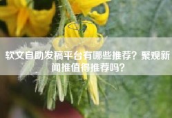 软文自助发稿平台有哪些推荐？聚观新闻推值得推荐吗？