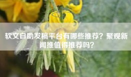 软文自助发稿平台有哪些推荐？聚观新闻推值得推荐吗？