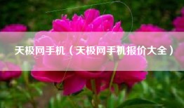 天极网手机（天极网手机报价大全）