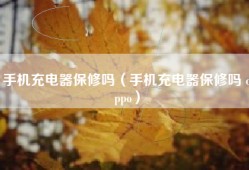 手机充电器保修吗（手机充电器保修吗 oppo）