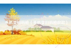 手机变扫码枪（手机变扫码枪收款）