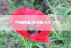 中国的非遗你知道几个？