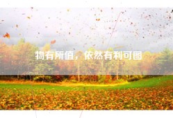 物有所值，依然有利可图
