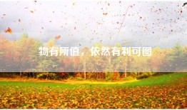 物有所值，依然有利可图