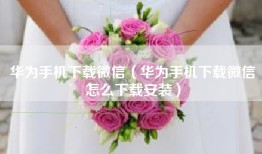 华为手机下载微信（华为手机下载微信怎么下载安装）