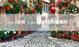 pixel手机（pixel手机国内能用吗）