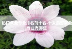 热门就业专业排名前十名-十大最好就业专业有哪些