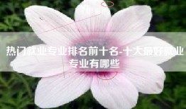 热门就业专业排名前十名-十大最好就业专业有哪些