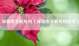 深圳市手机号码（深圳市手机号码区号）