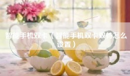 智能手机双卡（智能手机双卡双待怎么设置）