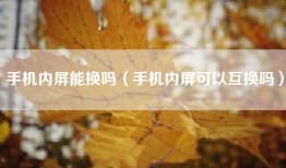 手机内屏能换吗(手机内屏可以互换吗)