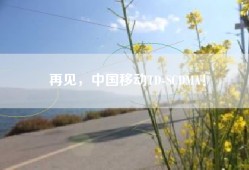 再见，中国移动TD-SCDMA！