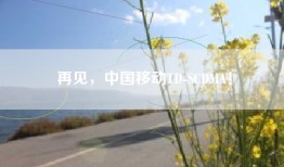 再见，中国移动TD-SCDMA！