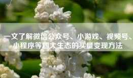 一文了解微信公众号、小游戏、视频号、小程序等四大生态的买量变现方法