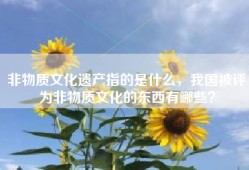 非物质文化遗产指的是什么，我国被评为非物质文化的东西有哪些？