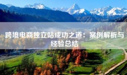 跨境电商独立站成功之道：案例解析与经验总结