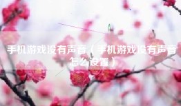 手机游戏没有声音（手机游戏没有声音怎么设置）